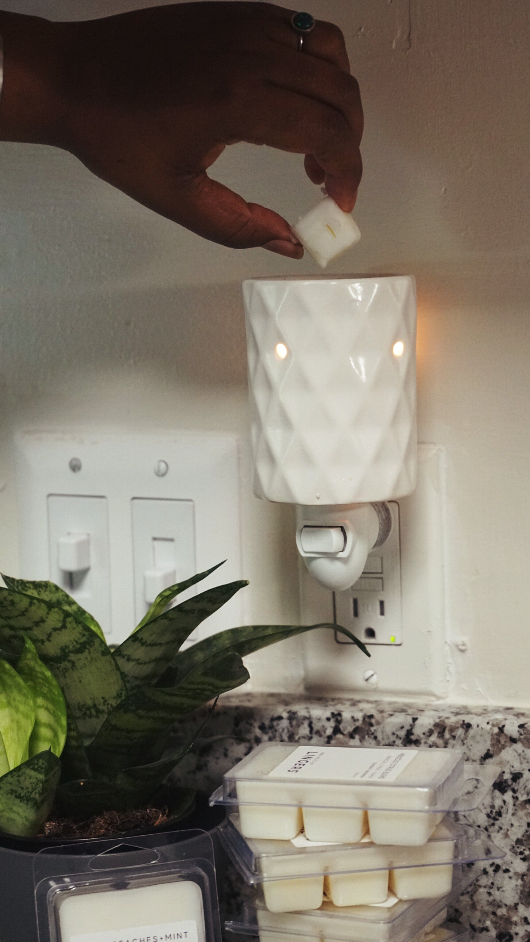 Indigo Wax Melts image 2