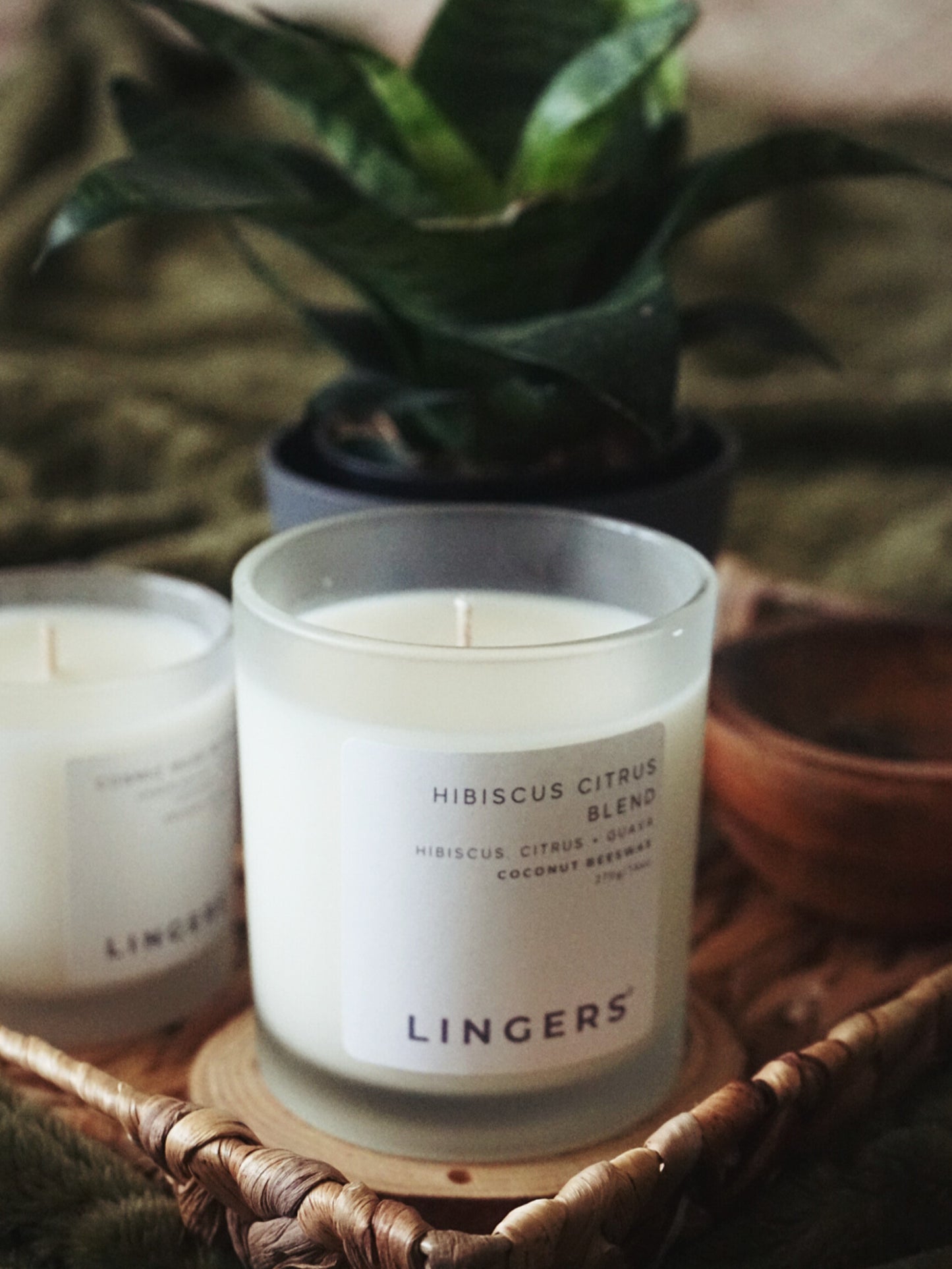 Hibiscus Citrus Blend