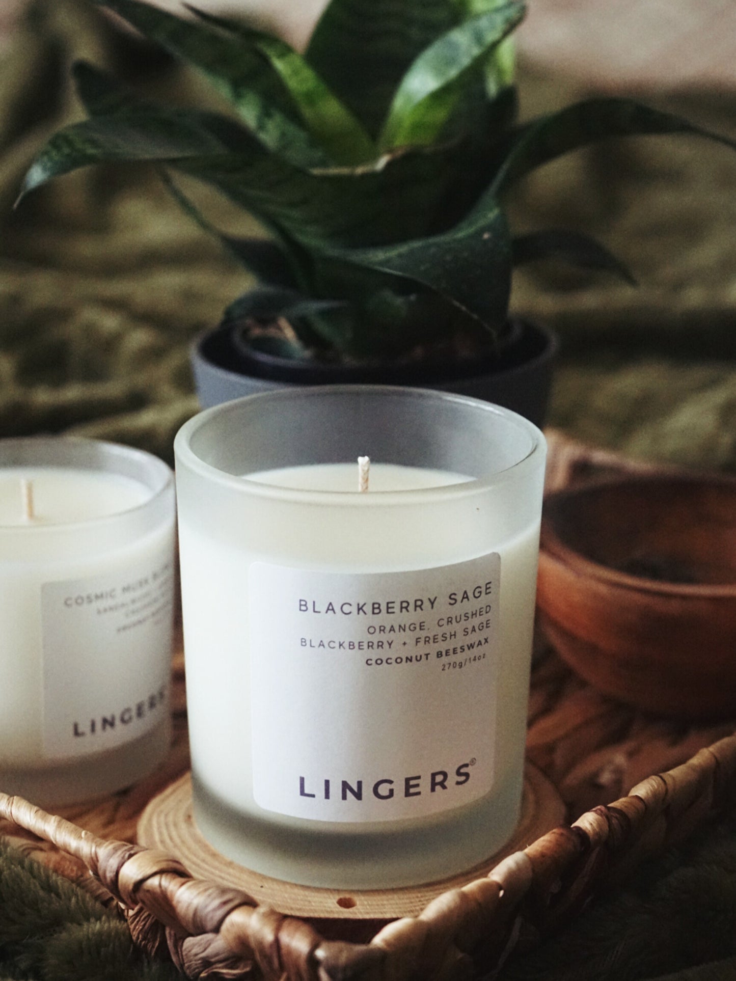 Blackberry Sage